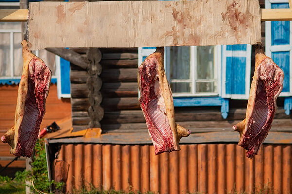 Lots of pork carcasses hanging on hook outdoor for sale