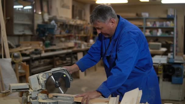 Электропила для распиловки досок, рабочая пила деревянную доску в мастерской — стоковое видео