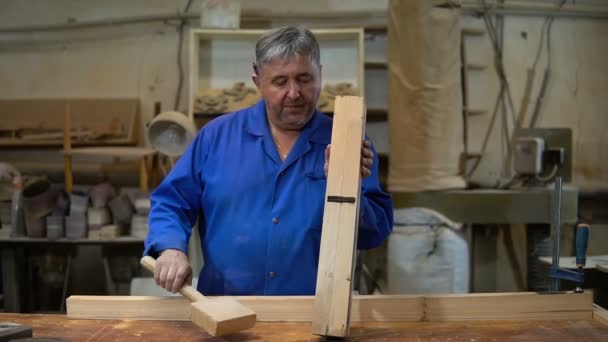 Werken in de Studio, werknemer schaven van een boom met een planer timmerman — Stockvideo