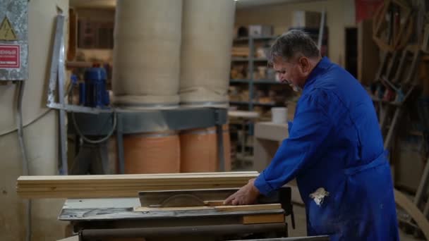 Timmerman aan het werk in zijn werkplaats, hout verwerken op een houtbewerking machine — Stockvideo