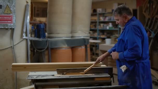 Menuisier au travail dans son atelier, transformation du bois sur une machine à bois — Video