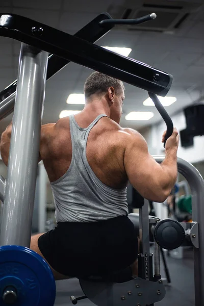 Excelente Treino Desportivo Ginásio Treino Volta Conceito Saúde Fitness — Fotografia de Stock