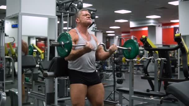Hombre entrena bíceps con una barra en el gimnasio — Vídeos de Stock