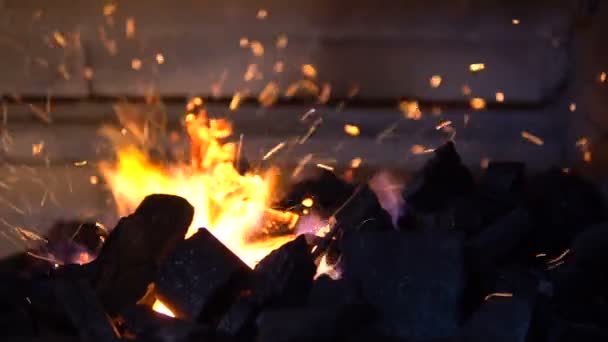 Şöminede yanan Closeup ahşap. Parlak siyah bir arka plan üzerinde köz gelen kıvılcımlar — Stok video