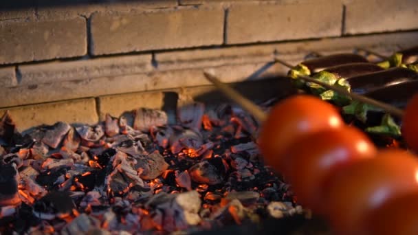 Het koken van groenten op een open haard. Picknick op de lucht, voedsel en plezier. Tomaten op brand closeup. — Stockvideo