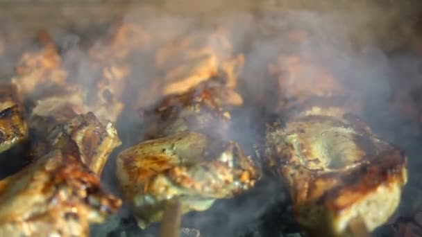 Close-up van vlees koken op een barbecuespies op kolen — Stockvideo