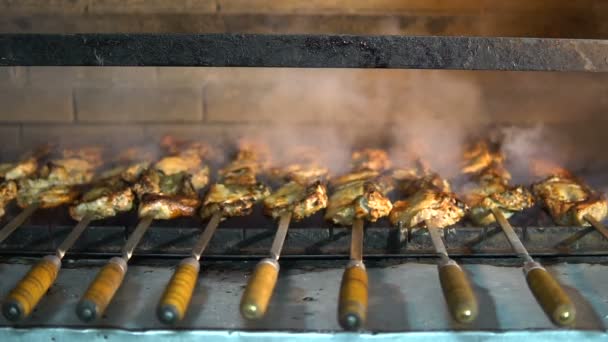 Primer plano de la cocción de la carne en un pincho sobre carbones — Vídeo de stock