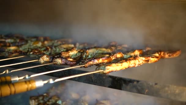 Close-up van vlees koken op een barbecuespies op kolen — Stockvideo