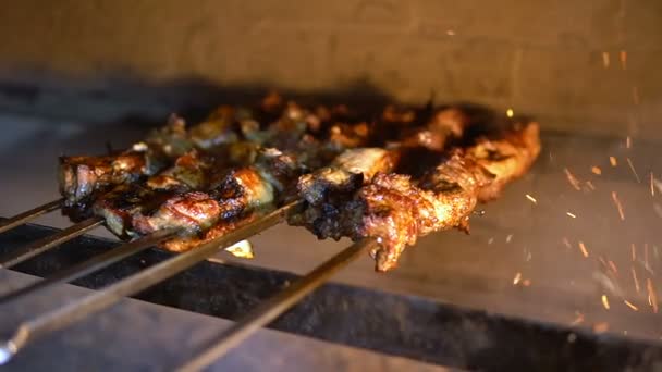 Closeup of meat cooking on a skewer on coals — Stock Video