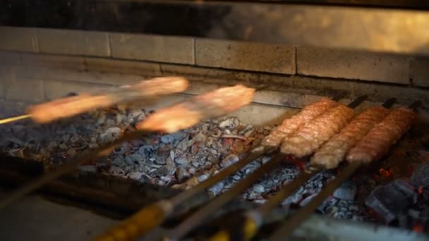 Nahaufnahme von Fleisch Kochen auf einem Spieß auf Kohlen — Stockvideo