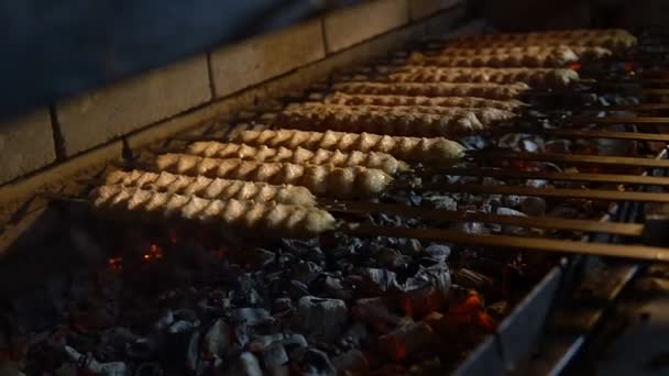 Gros plan de cuisson de la viande sur une brochette sur des charbons — Video