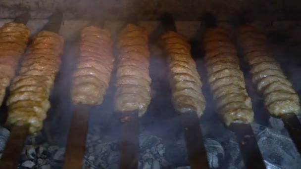 Close Van Vlees Koken Een Barbecuespies Kolen — Stockvideo