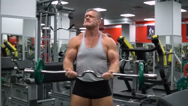 RUSSIA, TOGLIATTI - SEPTEMBER 20, 2018: Man trains biceps with a barbell in the gym — Stock Video