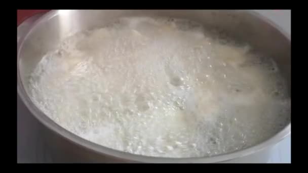 鍋クローズアップで沸騰した水で餃子を調理 — ストック動画