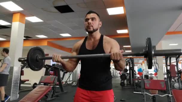 RÚSSIA, TOGLIDADE - FEVEREIRO 23, 2019: Barbbell man at gym workout bíceps fitness weightlifting — Vídeo de Stock