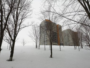 İrtifa kırsalında binada kış ağaç arasında