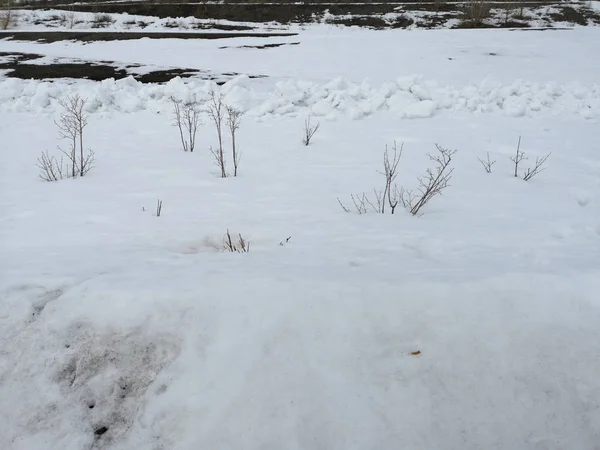 Blanco derretimiento de la nieve a principios de primavera, en marzo, primer plano en Rusia —  Fotos de Stock