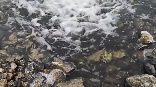 Piedras de guijarro en el agua del río vista de cerca en el invierno — Vídeos de Stock