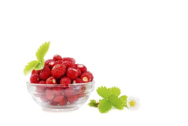 beyaz bir arka planda 2 bir cam kase çilek