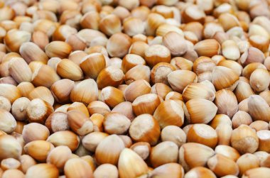 Tablo 3 dağınık olgun fındık