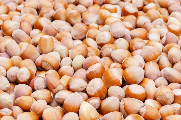 olgun fındık masada 2 dağınık