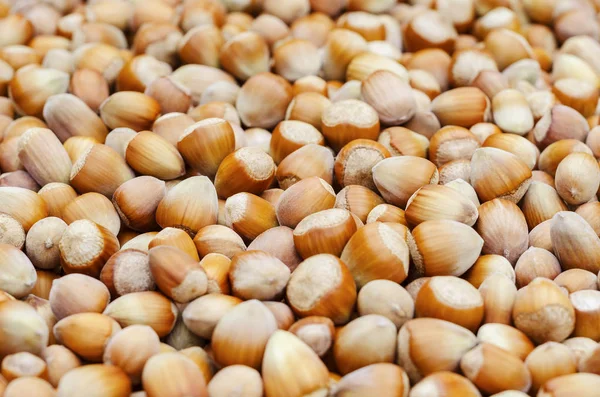 Tablo 3 dağınık olgun fındık