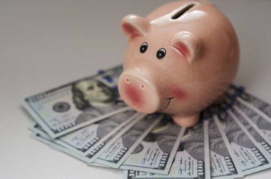 kumbara ve yüz dolar faturaları 2