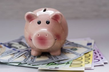 kumbara yüz dolar faturaları ve farklı mezheplerin euro notlar