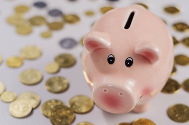 pembe domuz servet ve sikkeler 2