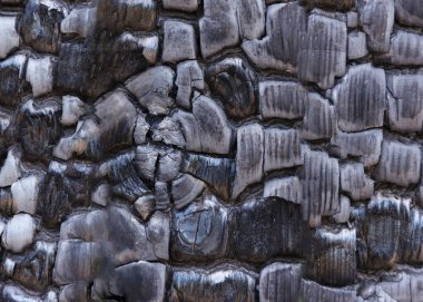 Yanmış ahşap dokusu 22