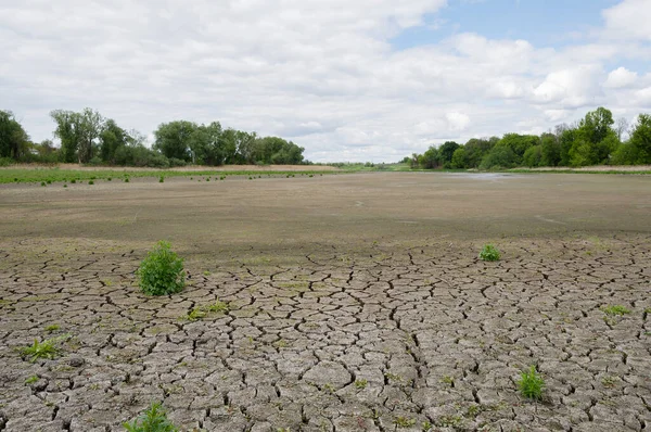 Toprağı çatlamış kuru bir gölet bulutlu bir gökyüzüne karşı.