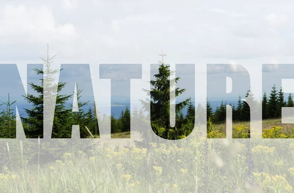 peyzaj arka planında doğa harfleri