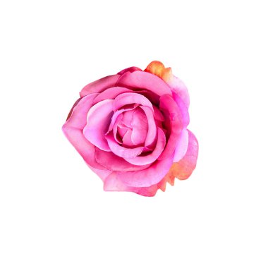 Kumaş pembe gül çalışma yolu ile beyaz izole