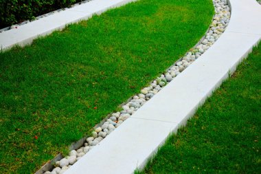 Ortasında taş olan kıvrımlı bir yürüyüş yolu.