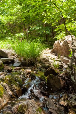 Küçük su cascade bir dere taş duvarın üzerinden