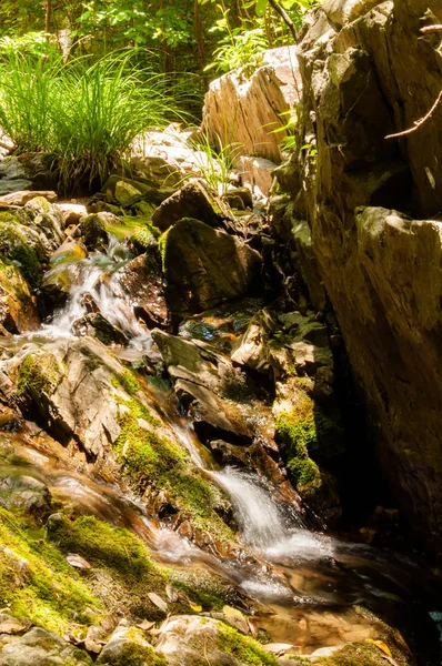 Eau Précipite Devant Seul Peuplement Herbe Puis Tombe Sur Mur — Photo