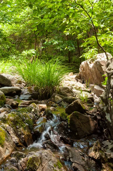 Petite Cascade Eau Sur Mur Rochers Dans Ruisseau — Photo