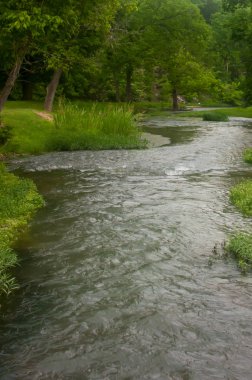 Bir nehir çimen bir alan atılıyor