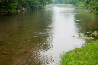 Ağaç sınırından Arkansas bahar nehir akar