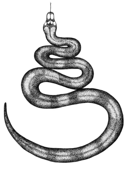 Ink snake on a white monocrome — Stock Photo, Image