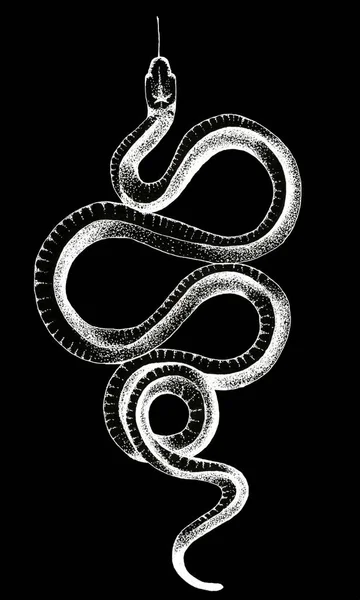 White Ink crooked snake on black background — Stock Photo, Image