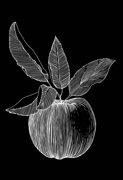 Hand drawn illustration of an apple with leaves on black background — Stock Photo, Image