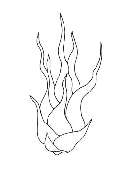 Beyaz arka planda Tillandsia mürekkep silueti. 