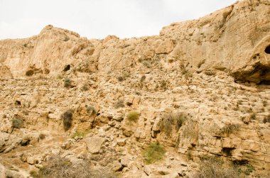 Çöldeki kayalıklar