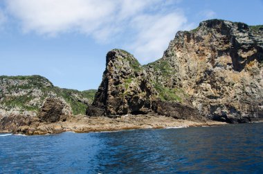 Yoksul Şövalyeler Adaları, Yeni Zelanda
