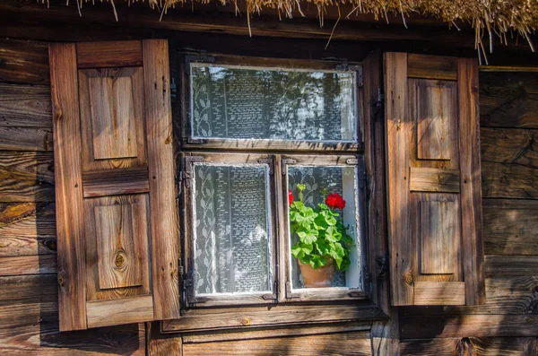 Okno Staré Kabiny Červenou Květinou — Stock fotografie