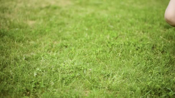 Діти ноги на зеленій траві — стокове відео