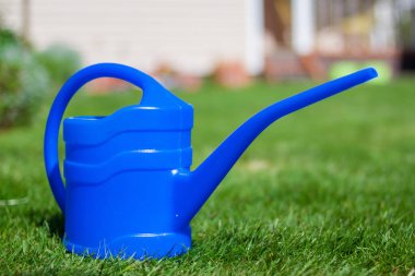 Mavi sulama olabilir. Bahçe veya kavramı dikim. Bahçede çalışan.