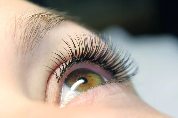 Close Professional Stylist Lengthening Lashes Female Client Beauty Salon Eyelash — Stock Photo, Image