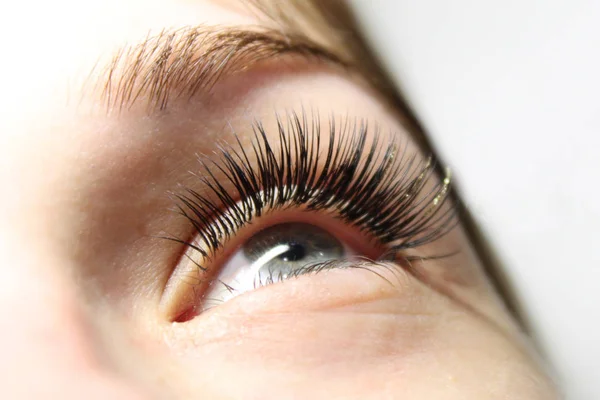 Eyelash Care Treatment Procedures, Staining, Curling, Laminating and Extension for Lashes. Beauty Model with Long Eyelashes. Skincare, Spa and Wellness. Close up.